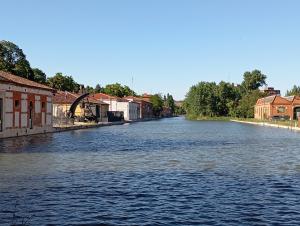 La CHD niega una “tala masiva” en el Canal de Castilla y defiende las actuaciones para mejorar la vegetación de la zona
